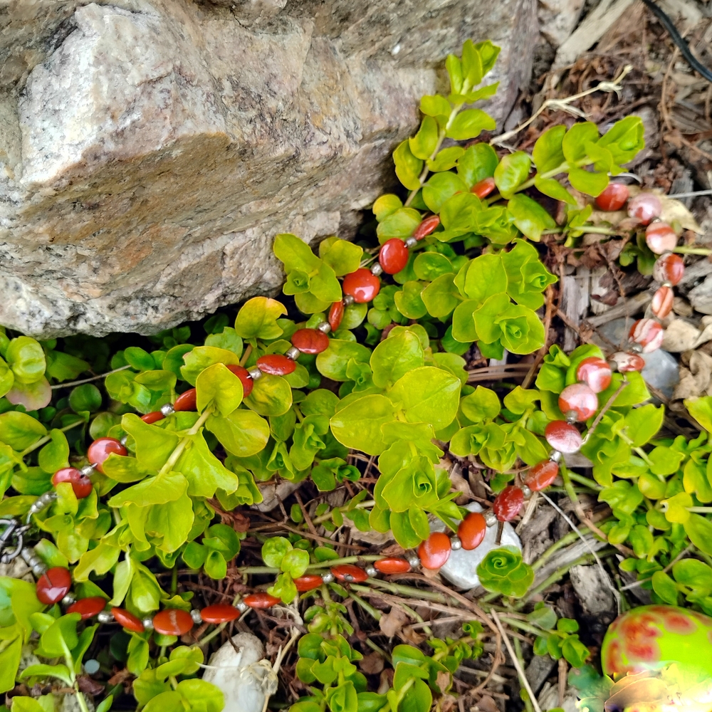 Rustic Red Beaded Necklace